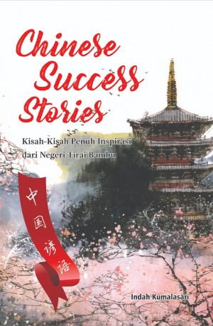 Chinese Succes Stories