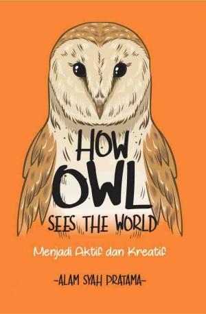 How Owl See The World